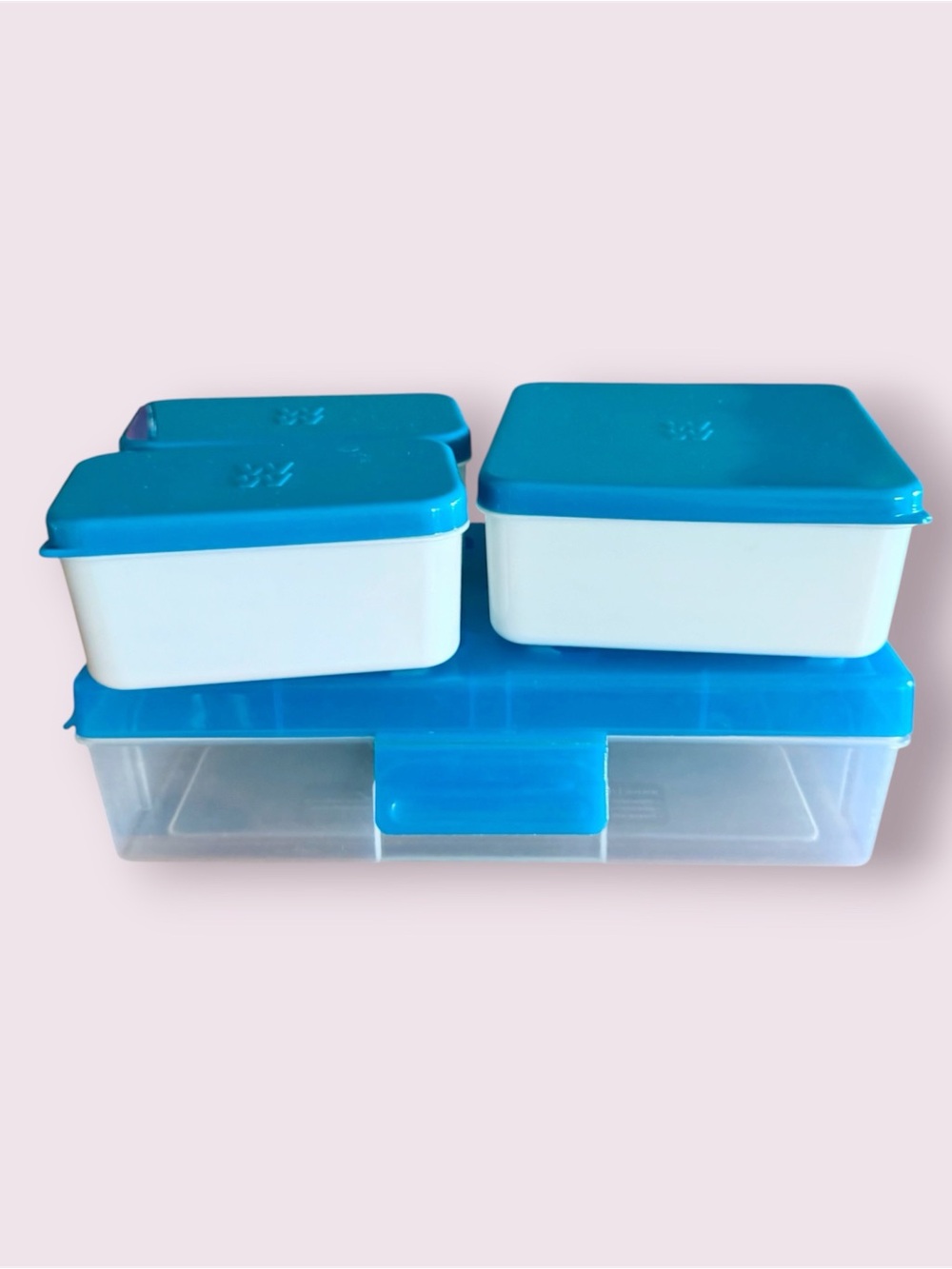 Weight Watchers Portion Control Bento Lunch Box